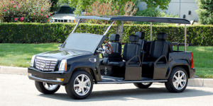 affordable golf cart rental, golf cart rent bartram springs golf cart renta