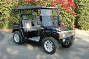 affordable golf cart rental, golf cart rent bartram springs golf cart renta