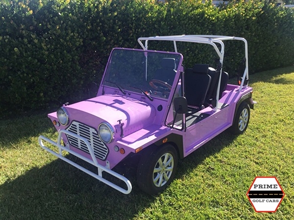 affordable golf cart rental, golf cart rent bartram springs golf cart rental