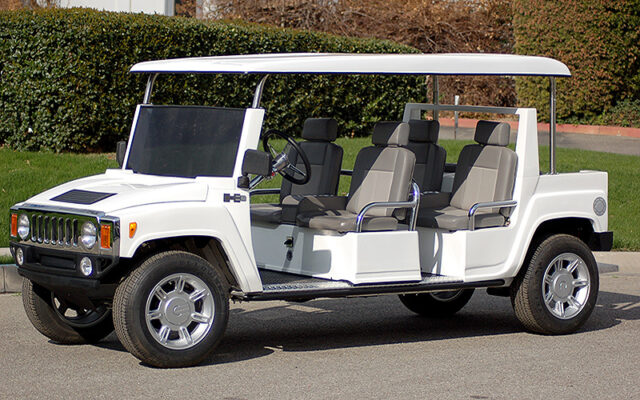 affordable golf cart rental, golf cart rent bartram springs golf cart renta